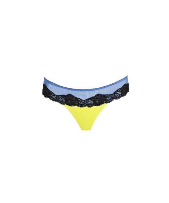 Sarda - Bremer Thong